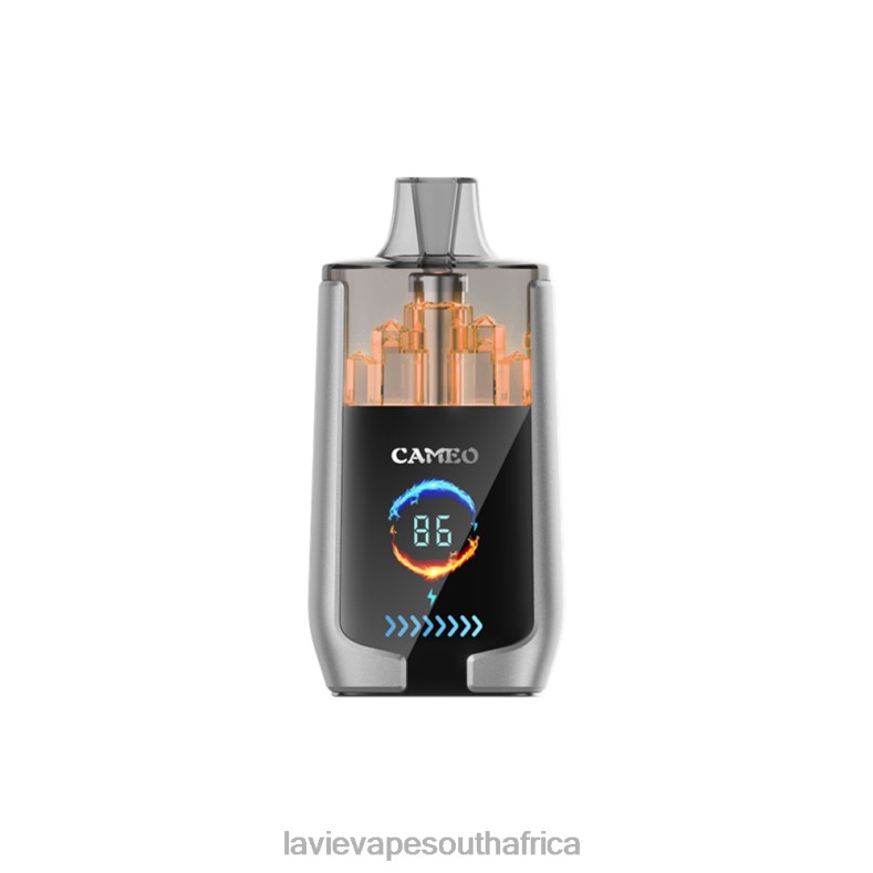 LAVIE E Cigarette - LAVIE CAMEO 30000 Puffs Blueberry Ice VNZRX15
