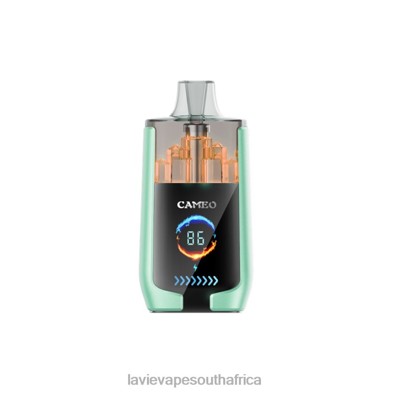 LAVIE E Cigarette - LAVIE CAMEO 30000 Puffs Double Apple VNZRX20