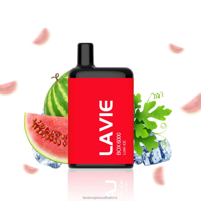 LAVIE Puff - LAVIE BOX 6000 Puffs Lush Ice VNZRX199