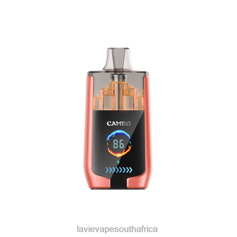 LAVIE Puff - LAVIE CAMEO 30000 Puffs Strawberry Watermelon VNZRX24