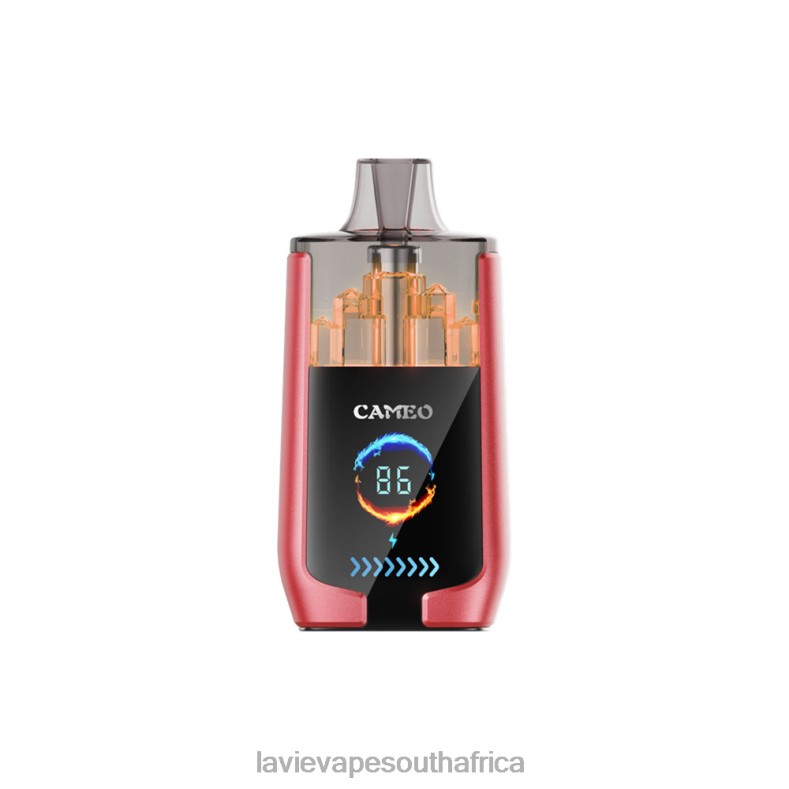 LAVIE Puff - LAVIE CAMEO 30000 Puffs Watermelon Ice VNZRX14