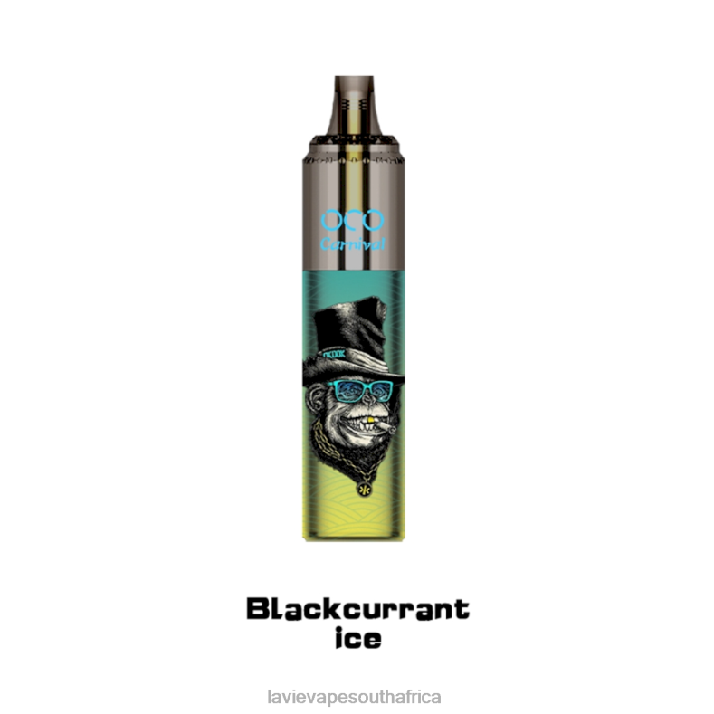 LAVIE Vape Price - LAVIE OCO Carnival 10000 Puffs Blackcurrant Ice VNZRX348