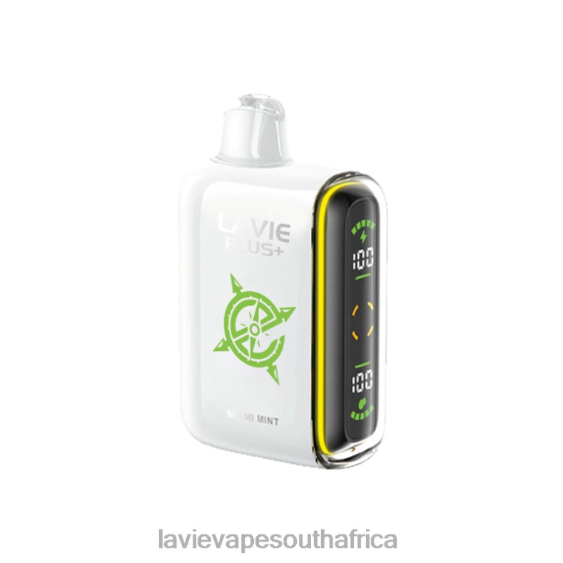 LAVIE Vape Price - LAVIE PLUS 15000 Puffs Miami Mint VNZRX98