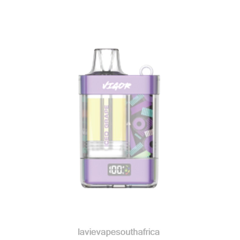 LAVIE Vape Price - LAVIE VIGOR 15000 Puffs Iced Grape VNZRX8