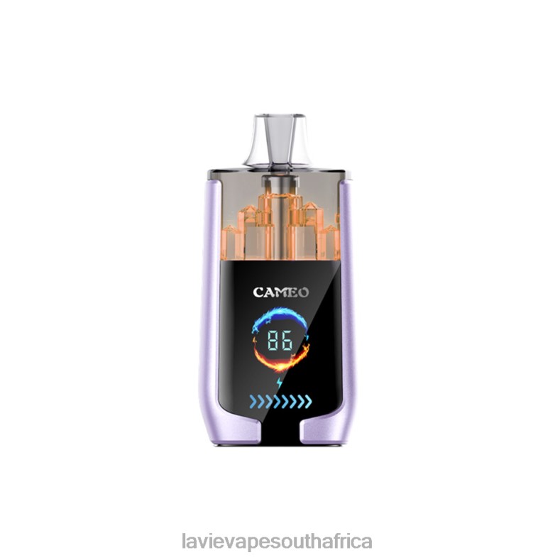 LAVIE Vape Review - LAVIE CAMEO 30000 Puffs Grape Ice VNZRX16