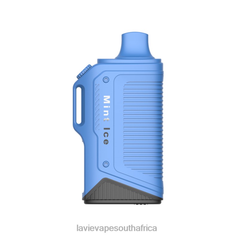 LAVIE Vape South Africa - LAVIE Energy Box 15000 Puffs Mint Ice VNZRX72