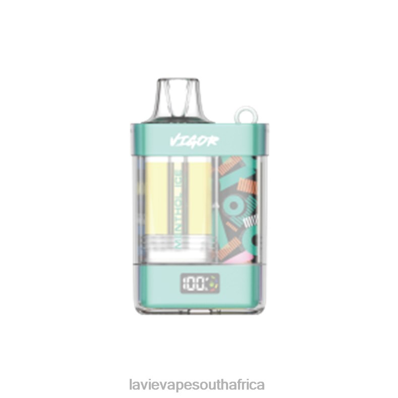 LAVIE Vape South Africa - LAVIE VIGOR 15000 Puffs Menthol Ice VNZRX2
