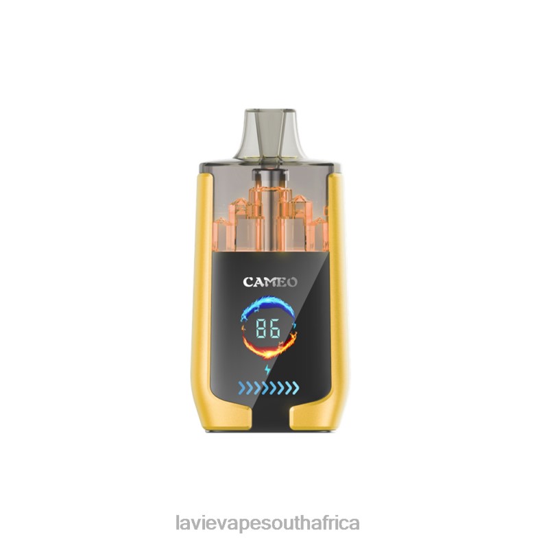 LAVIE Vape Review - LAVIE CAMEO 30000 Puffs Mango Ice VNZRX21